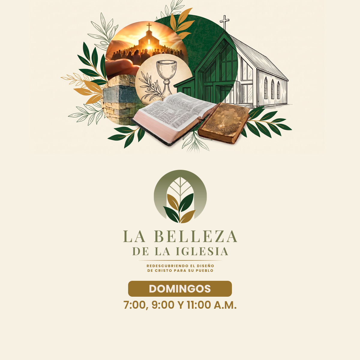 Campaña | La Belleza de la Iglesia